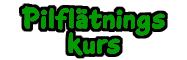 Pilfl�tningskurs